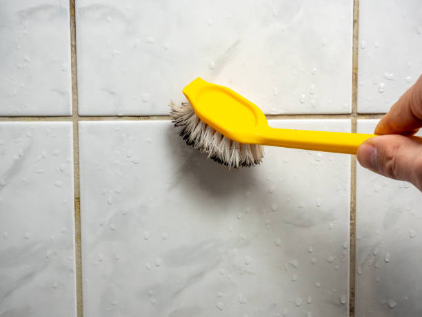 Best Mold Testing  in Carbondale, IL