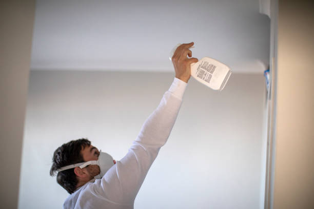 Best Attic Mold Removal  in Carbondale, IL