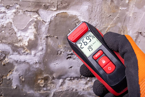Best Mold Cleaning Services  in Carbondale, IL