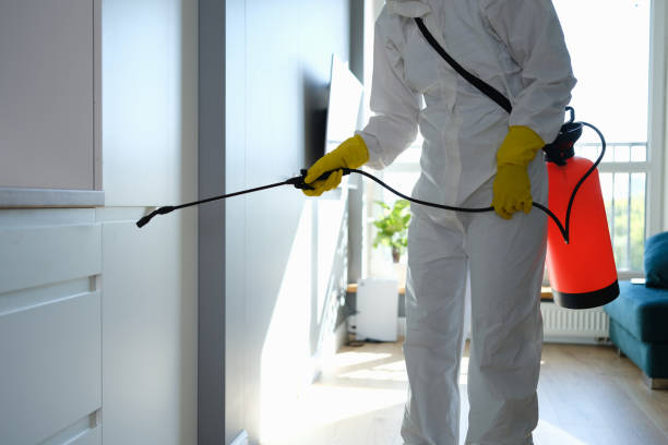 Best Office Mold Removal Services  in Carbondale, IL