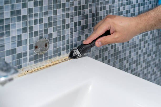 Best Mold Removal Near Me  in Carbondale, IL