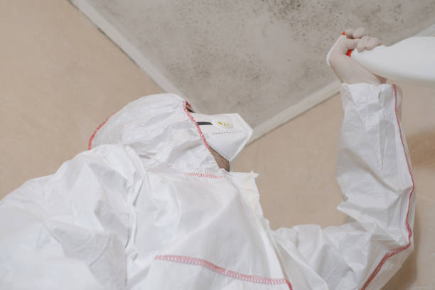 Best Crawl Space Mold Removal  in Carbondale, IL